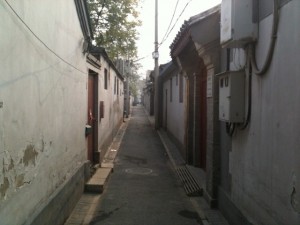 photo(26)