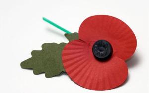 poppy_1512923c